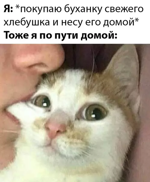 Смешная картинка №470172
