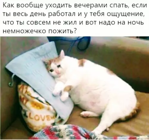 Смешная картинка №311295 Поэтому и вечный недосып