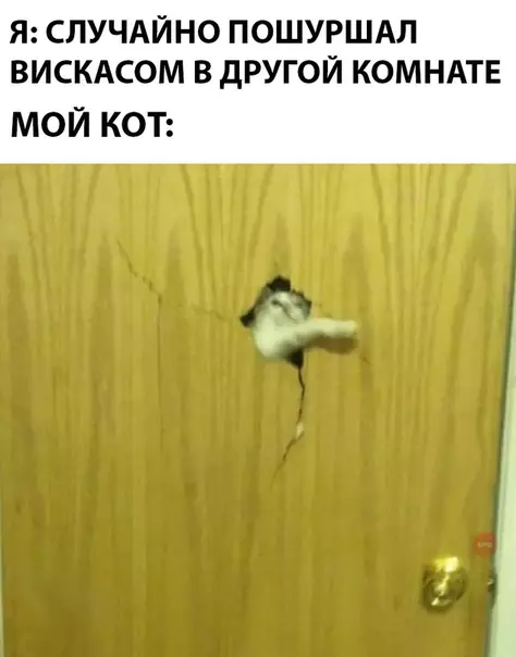 Смешная картинка №290378