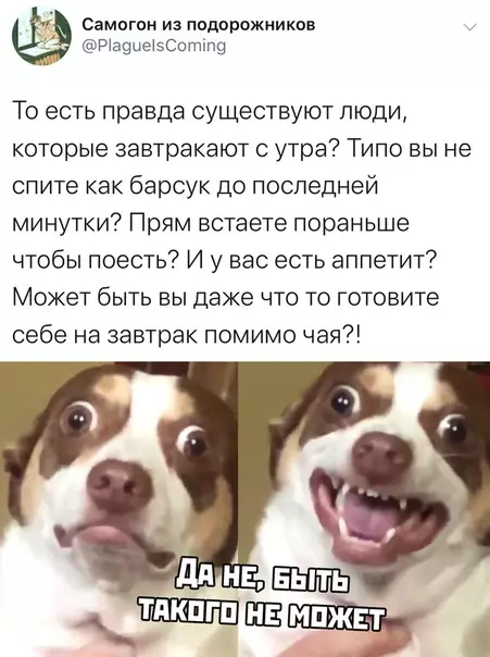 Смешная картинка №432610