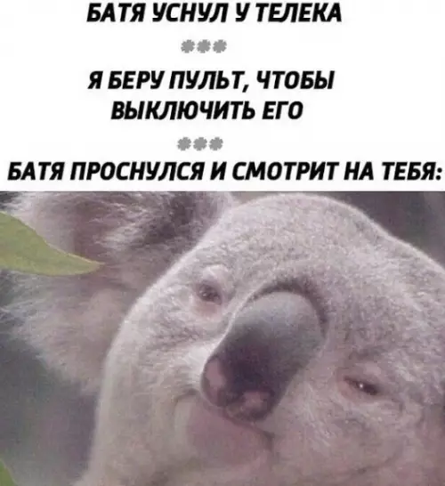 Смешная картинка №454930 И ты не знаешь чего ожидать от бати