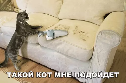 Смешная картинка №257287