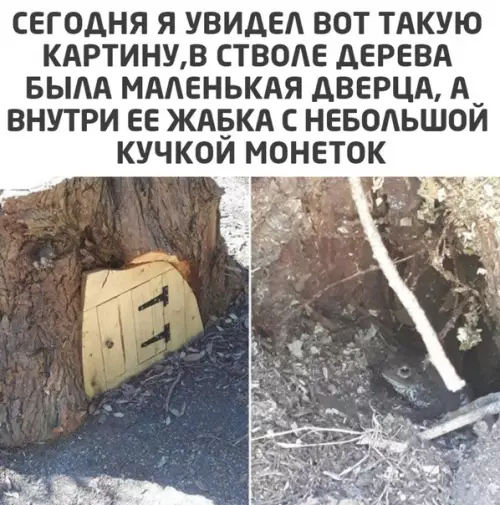 Смешная картинка №596887 Кража со взломом