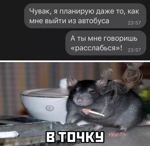 Смешная картинка №576922
