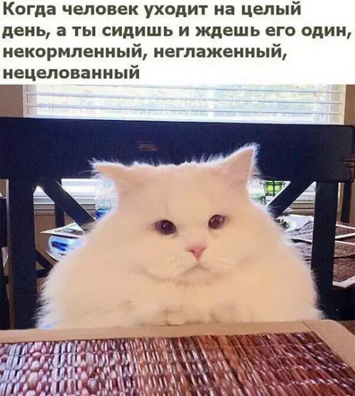 Смешная картинка №214127
