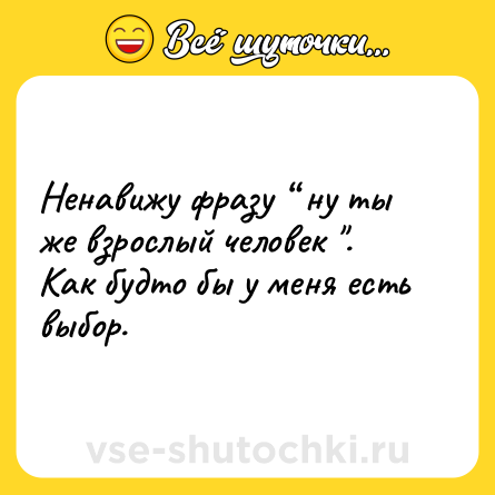 Шутка: Ненавижу фразу “ ну ты же взрослый человек 