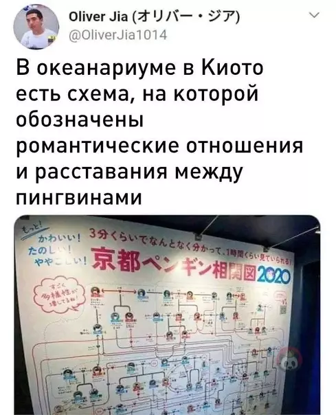 Смешная картинка №543792 Нифига у них там Санта-Барбара!
