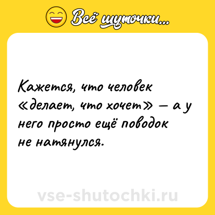 Шутка: Кажется, что человек «делает, что хочет» — а у него просто ещё поводок не натянулся.