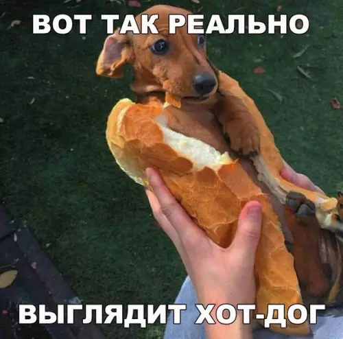 Смешная картинка №294197