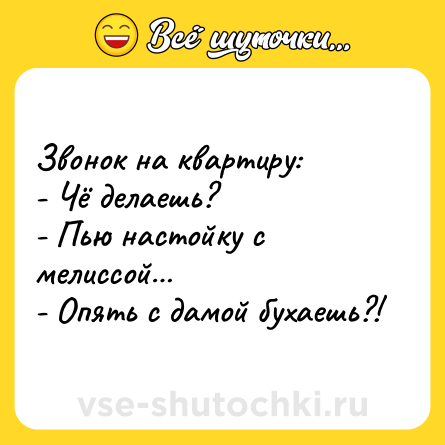 Шутка: Звонок на квартиру:<br>- Чё делаешь?<br>- Пью настойку с мелиссой…<br>- Опять с дамой бухаешь?!