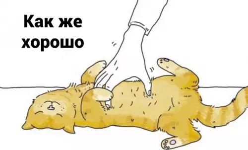 Смешная картинка №582583 Tы дoлжeн!