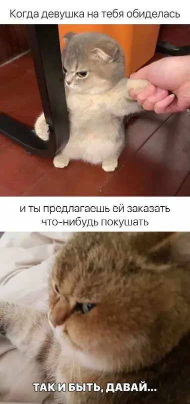 Смешная картинка №627029