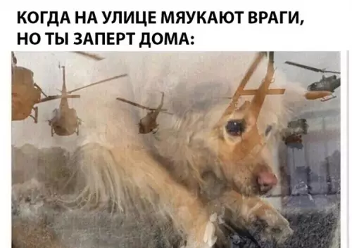 Смешная картинка №284186