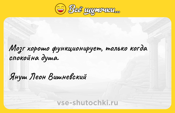 Цитата: Мозг хорошо функционирует, только когда спокойна душа.Януш Леон Вишневский