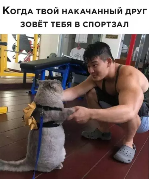 Смешная картинка №505856