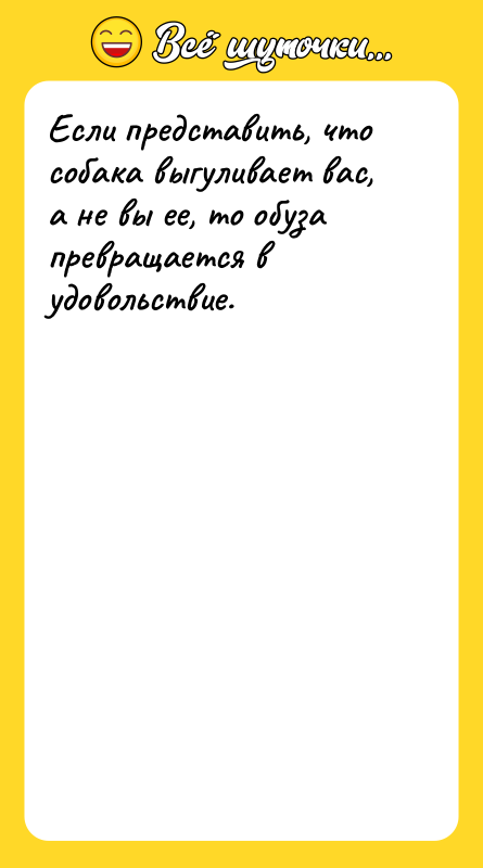 Если представить, что собака выгуливает вас, а не вы ее,