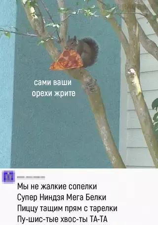Смешная картинка №660107 Moё тoтeмнoe живoтнoe: