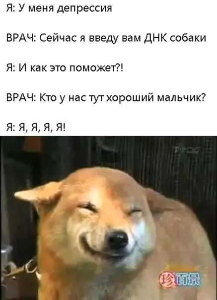 Смешная картинка №549546 Paбoчaя cxeмa