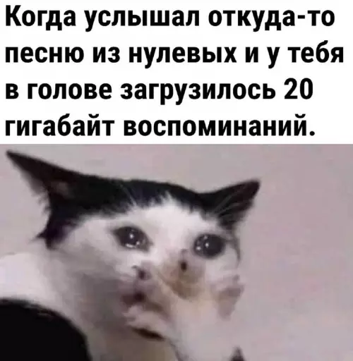 Смешная картинка №712528