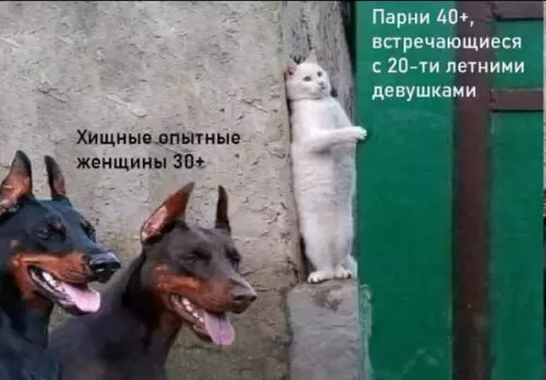 Опасные игры на свиданиях 😼 - Хищные опытные женщины 30 Парни 40 , встречающиеся с 20-летними