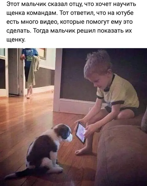 Смешная картинка №244676