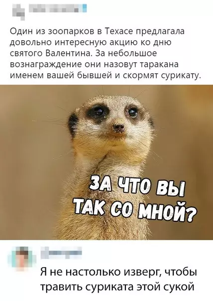 Смешная картинка №332693 животные