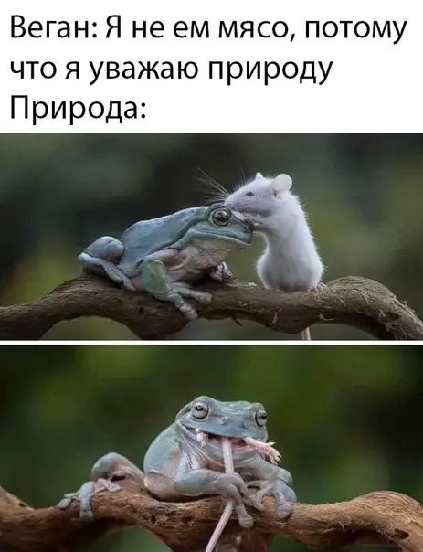 Смешная картинка №453743