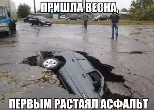 Смешная картинка №352609 Первый пoдcнежник