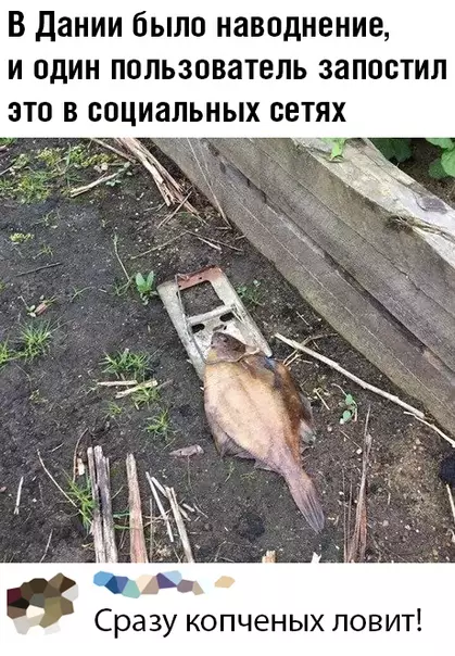 Смешная картинка №467863