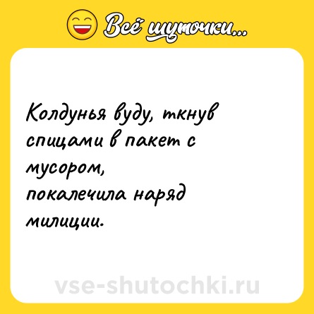 Шутка: Колдунья вуду, ткнув спицами в пакет с мусором,<br>покалечила наряд милиции.