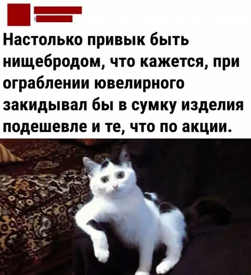 Смешная картинка №666930