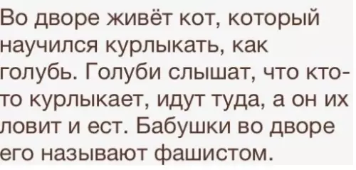 Смешная картинка №312613 Хитрый кот