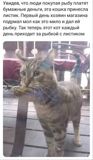 Смешная картинка №677887
