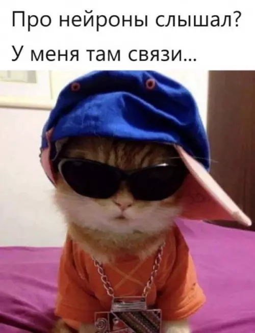 Кот с нейронами