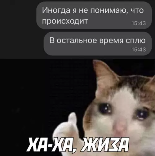 Смешная картинка №535728