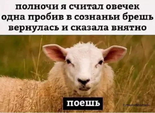 Смешная картинка №675466