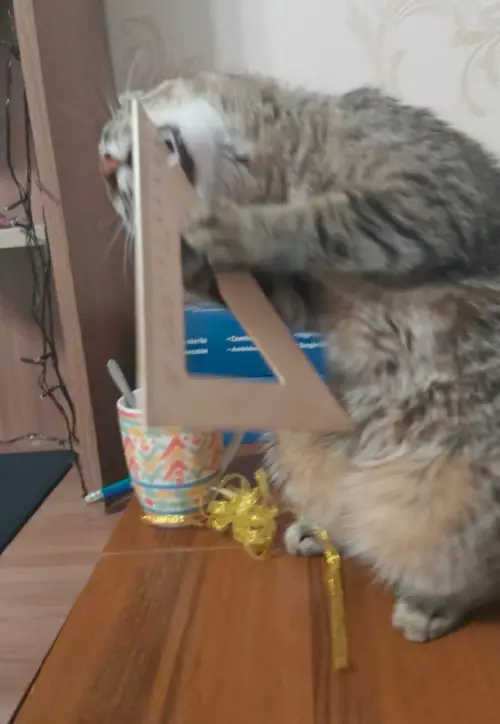 Смешная картинка №637696 Когда вычисляешь котангенс угла