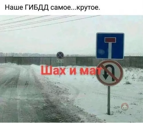Смешная картинка №560126 И что делать?)
