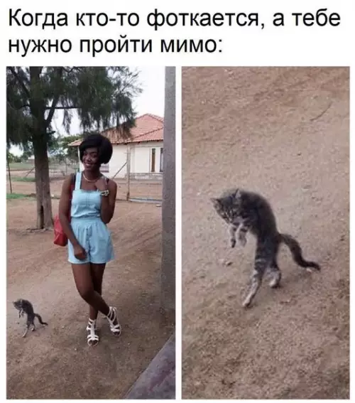 Смешная картинка №233931