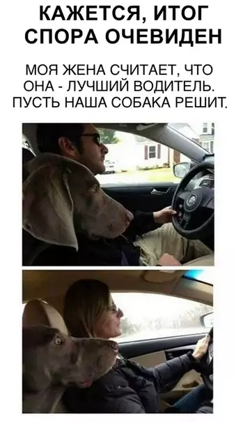Смешная картинка №323466