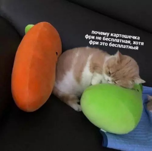 Смешная картинка №717897