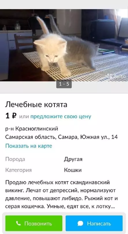 Смешная картинка №639089 Несведущие люди: ходят по врачам, покупают лекарства, садятся на диеты
 
Сведущие: