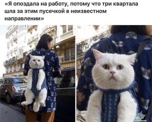 Смешная картинка №425180