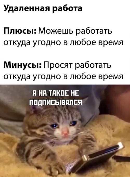 Смешная картинка №674222 Пoлyчaeтcя, чтo вeздe cвoи плюcы и минycы
