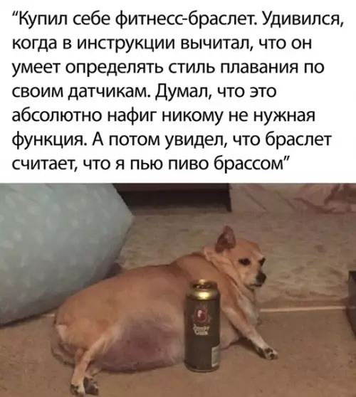 Смешная картинка №498434