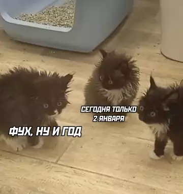 Смешная картинка №797518