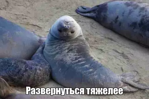 Смешная картинка №309548