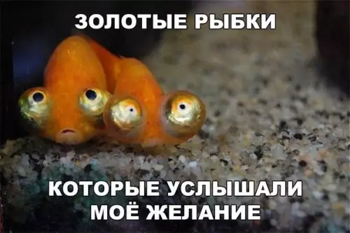 Смешная картинка №271107