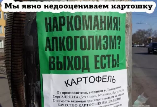 Смешная картинка №320008