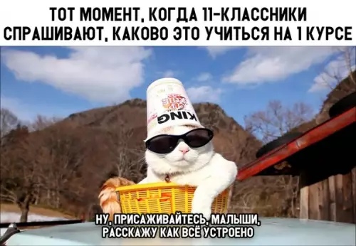 Смешная картинка №311788